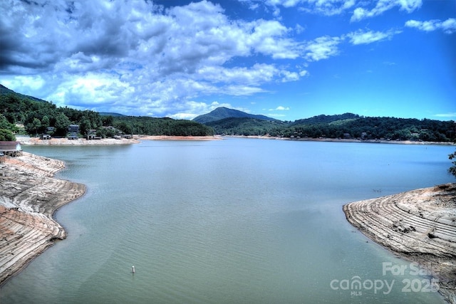 178 Anglers Way, Lake Lure, NC 28746 - water view