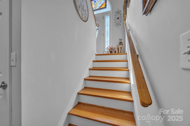 354 Shingle Gap Rd, Purlear, NC 28665 - photo 40