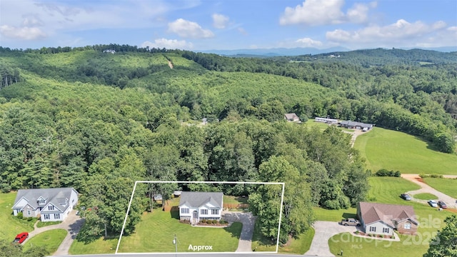 354 Shingle Gap Rd, Purlear, NC 28665 - photo 47