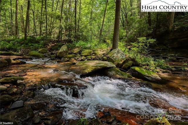 1612 Fall Creek Rd, Purlear, NC 28665 - photo 4