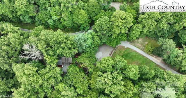 1612 Fall Creek Rd, Purlear, NC 28665 - photo 43
