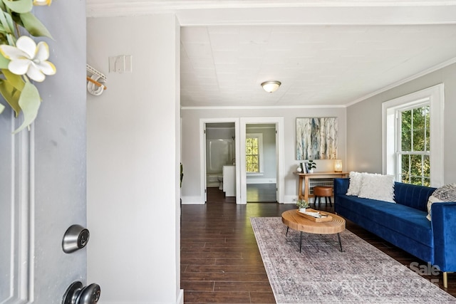 911 Elm St, Kannapolis, NC 28081 - living room with ornamental molding and dark wood-type flooring