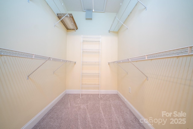 6241 Orchid Ct, Denver, NC 28037 - photo 11