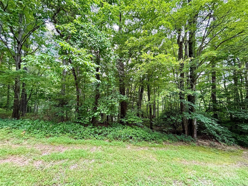 0 Sunlight Ridge Ct, Hendersonville, NC 28792 - photo 1