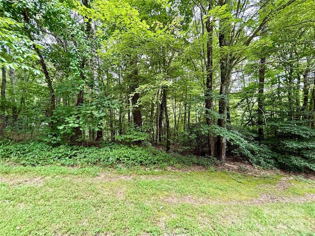 0 Sunlight Ridge Ct, Hendersonville, NC 28792 - photo 2