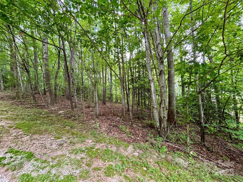0 Sunlight Ridge Ct, Hendersonville, NC 28792 - photo 3