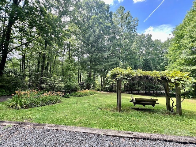 1504 Red Marble Rd, Andrews, NC 28901 - surrounding community featuring a lawn