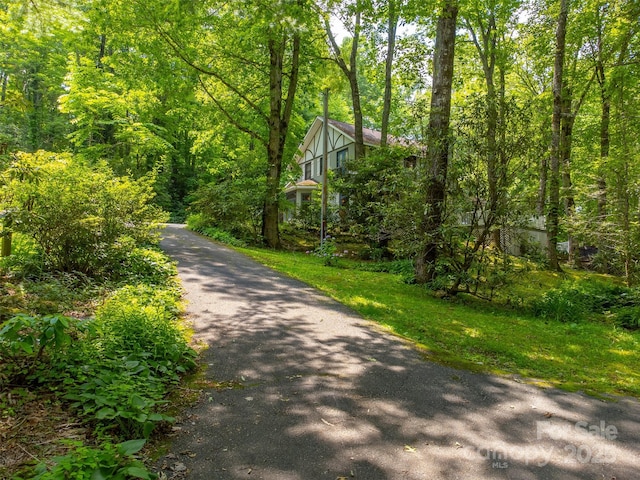 1504 Red Marble Rd, Andrews, NC 28901 - view of street with a view of trees