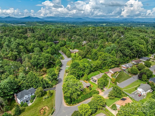 3 Acorn Rd, Asheville, NC 28804 - photo 40