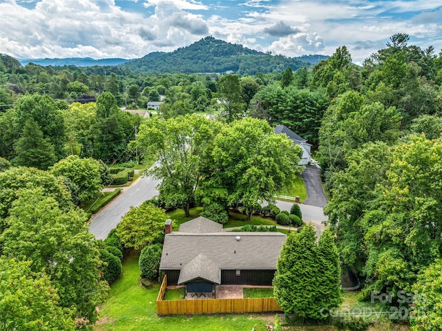 3 Acorn Rd, Asheville, NC 28804 - photo 41