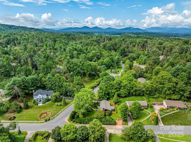 3 Acorn Rd, Asheville, NC 28804 - photo 42