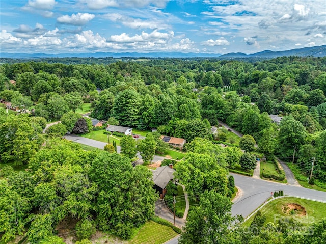3 Acorn Rd, Asheville, NC 28804 - photo 43