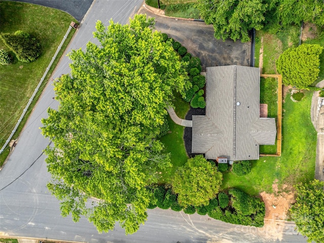 3 Acorn Rd, Asheville, NC 28804 - photo 44