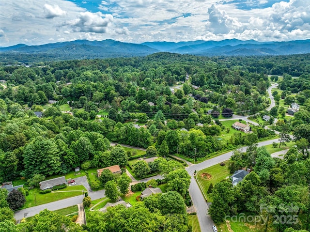 3 Acorn Rd, Asheville, NC 28804 - photo 45