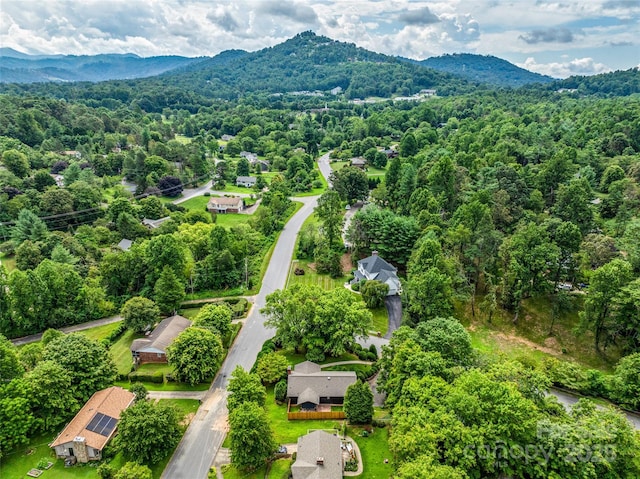 3 Acorn Rd, Asheville, NC 28804 - photo 46