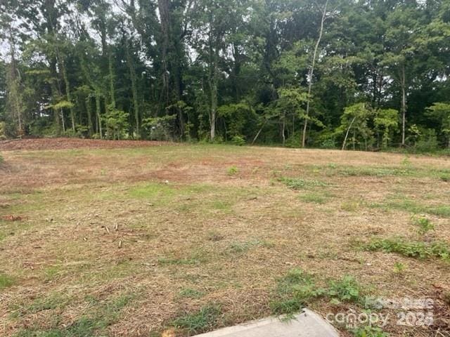 285 E Steele St, Salisbury, NC 28144 - view of yard