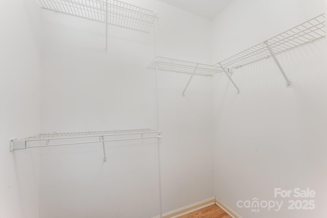 1250 Maple Shade Ln, Charlotte, NC 28270 - walk in closet featuring light wood finished floors