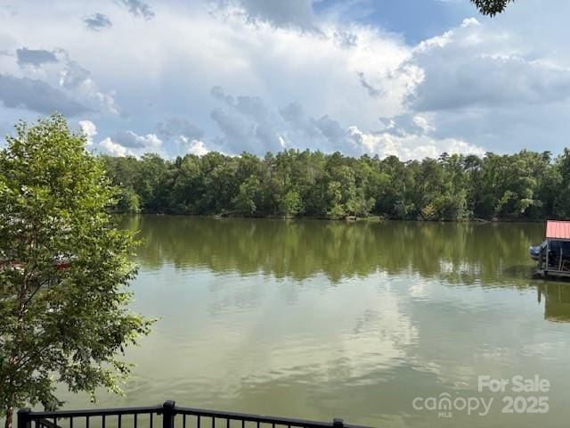 28111 Egrets Ct, Lancaster, SC 29720 - photo 29