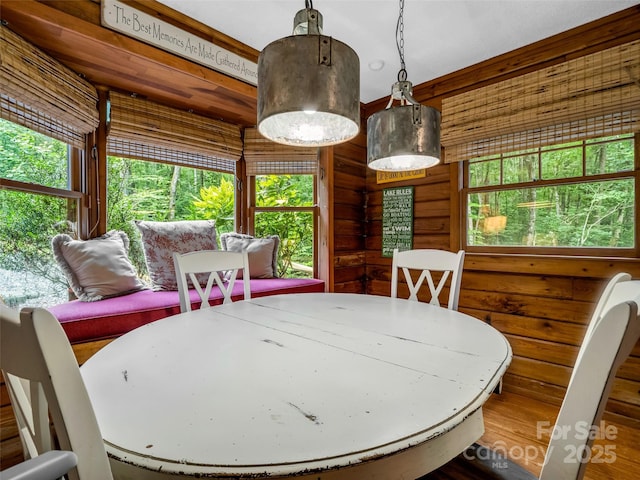 116 Chalet Rd, Lake Lure, NC 28746 - dining room featuring healthy amount of natural light