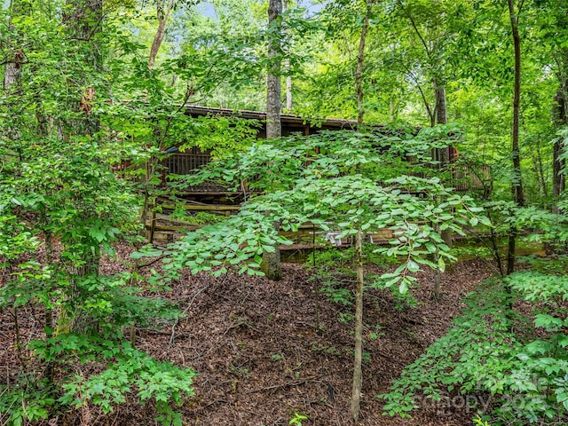 116 Chalet Rd, Lake Lure, NC 28746 - view of tree filled area