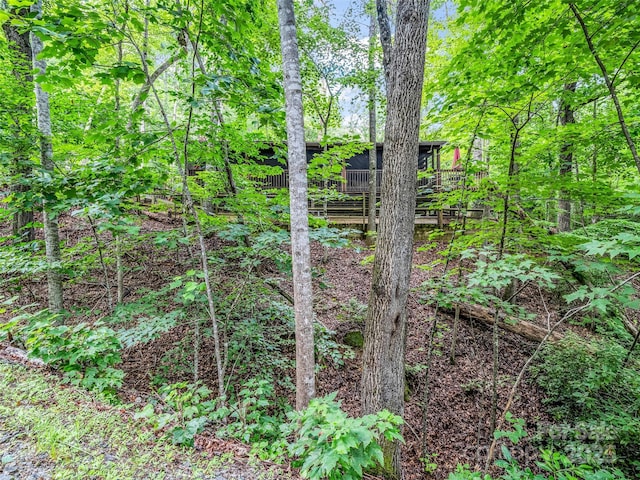 116 Chalet Rd, Lake Lure, NC 28746 - view of nature