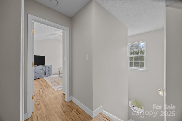 8009 Trotter Rd, Charlotte, NC 28216 - hallway with light wood finished floors and a textured ceiling