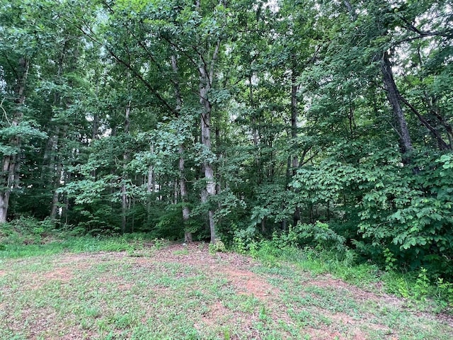 6581 Emerald Isle Dr, Sherrills Ford, NC 28673 - photo 4