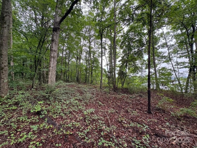 4820 Coves End Rd, Denver, NC 28037