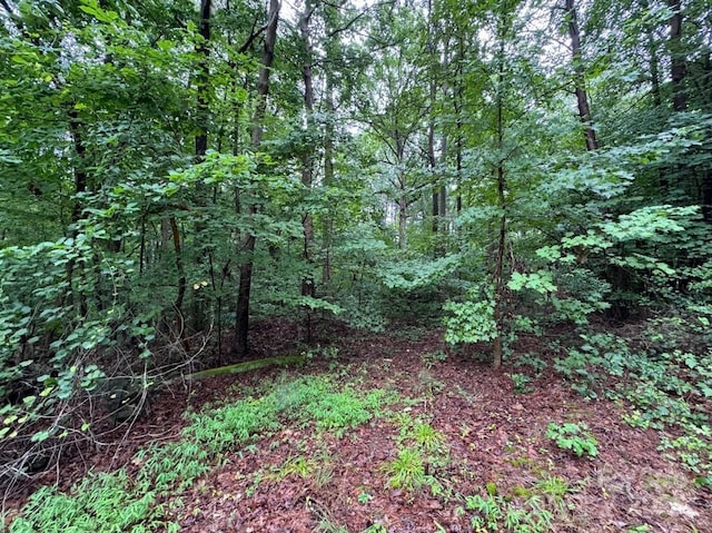 4820 Coves End Rd, Denver, NC 28037