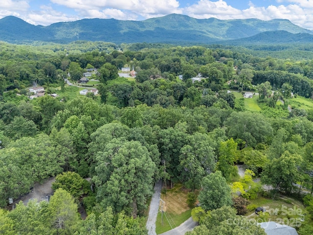 147 Woodland Rd, Tryon, NC 28782 - photo 48