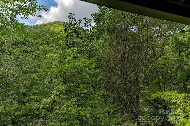 408 S Carolina Ter, Montreat, NC 28757 - photo 30