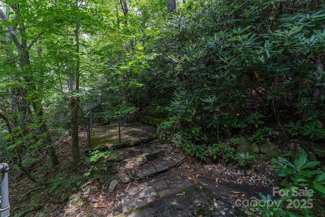 408 S Carolina Ter, Montreat, NC 28757 - photo 31