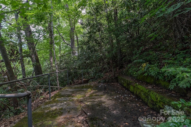 408 S Carolina Ter, Montreat, NC 28757 - photo 32