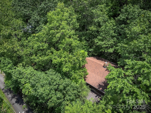408 S Carolina Ter, Montreat, NC 28757 - photo 38
