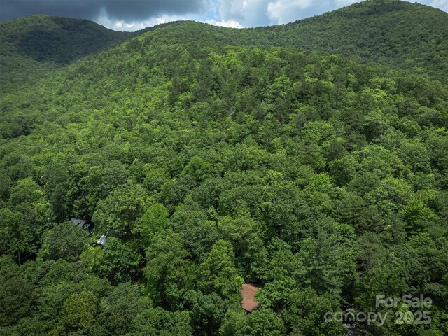 408 S Carolina Ter, Montreat, NC 28757 - photo 39