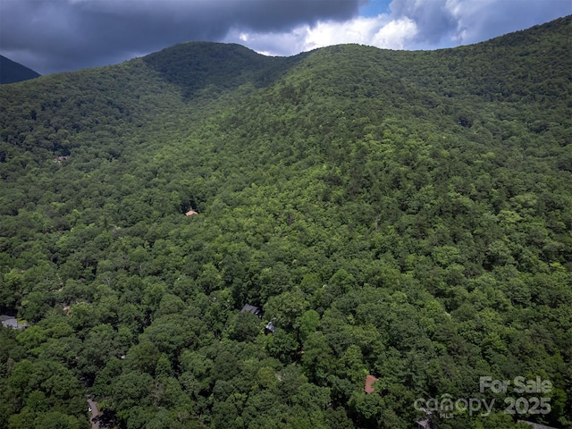 408 S Carolina Ter, Montreat, NC 28757 - photo 40