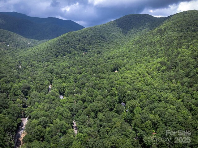 408 S Carolina Ter, Montreat, NC 28757 - photo 41