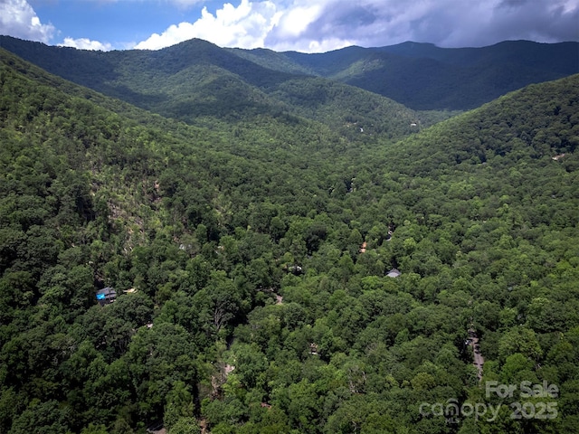 408 S Carolina Ter, Montreat, NC 28757 - photo 42