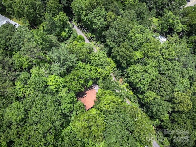 408 S Carolina Ter, Montreat, NC 28757 - photo 43