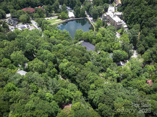 408 S Carolina Ter, Montreat, NC 28757 - photo 44