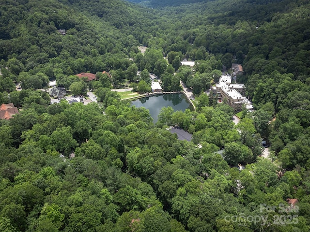 408 S Carolina Ter, Montreat, NC 28757 - photo 45
