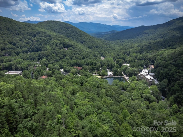 408 S Carolina Ter, Montreat, NC 28757 - photo 46