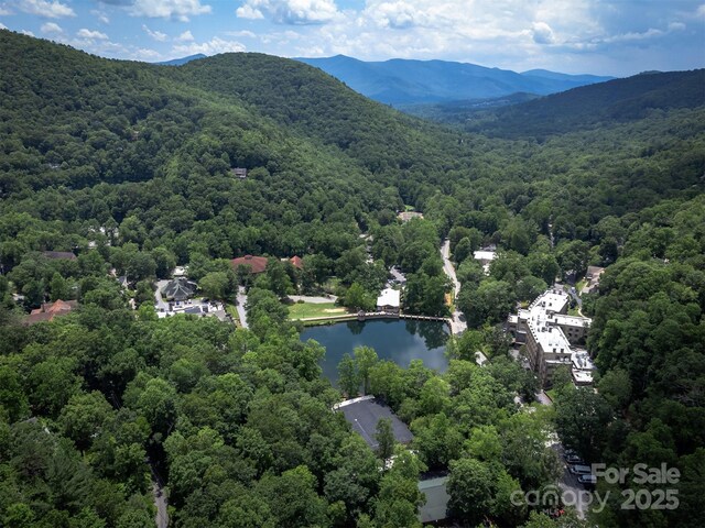 408 S Carolina Ter, Montreat, NC 28757 - photo 47