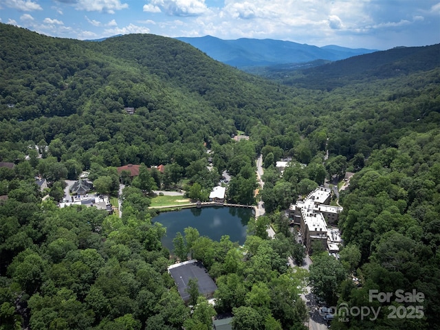 408 S Carolina Ter, Montreat, NC 28757 - photo 48