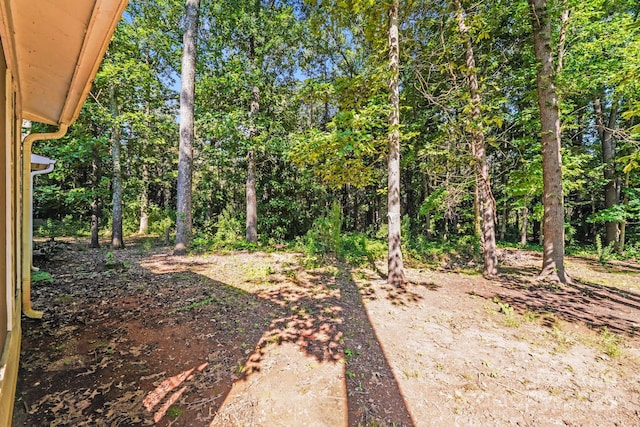 6226 Spanish Oak Rd, Charlotte, NC 28227 - photo 24