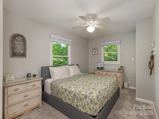 27 Walker Cove Rd, Black Mountain, NC 28711 - photo 25