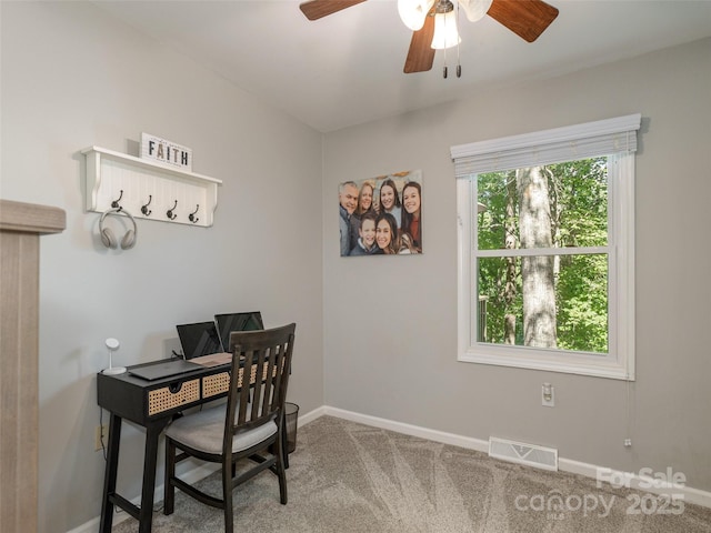 27 Walker Cove Rd, Black Mountain, NC 28711 - photo 26