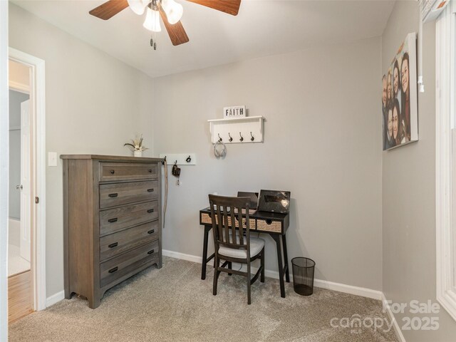 27 Walker Cove Rd, Black Mountain, NC 28711 - photo 27