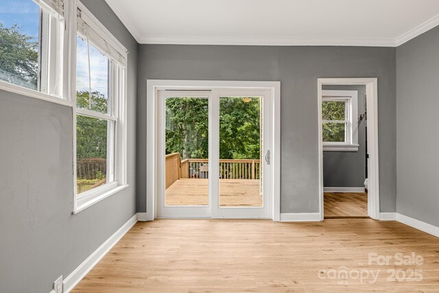 145 Logan Ave, Asheville, NC 28806 - photo 16