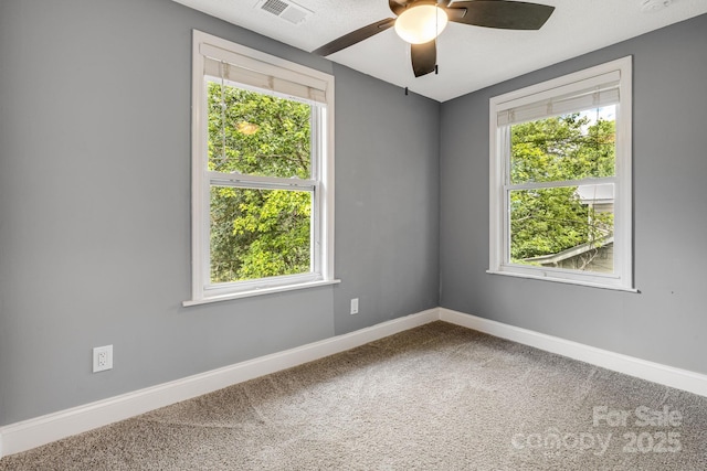 145 Logan Ave, Asheville, NC 28806 - photo 32